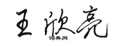 骆恒光王欣亮行书个性签名怎么写