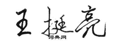 骆恒光王挺亮行书个性签名怎么写