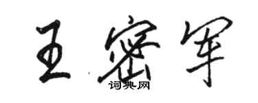 骆恒光王密军行书个性签名怎么写