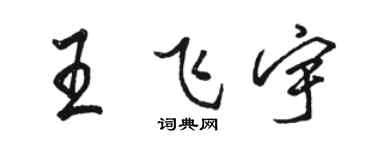 骆恒光王飞宇行书个性签名怎么写
