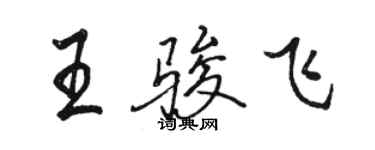 骆恒光王骏飞行书个性签名怎么写