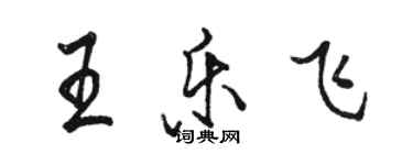 骆恒光王乐飞行书个性签名怎么写