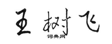 骆恒光王树飞行书个性签名怎么写