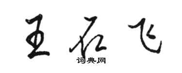 骆恒光王石飞行书个性签名怎么写