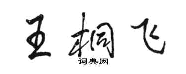 骆恒光王桐飞行书个性签名怎么写