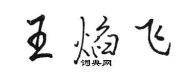 骆恒光王焰飞行书个性签名怎么写
