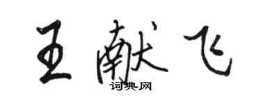 骆恒光王献飞行书个性签名怎么写