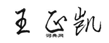骆恒光王正凯行书个性签名怎么写