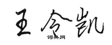 骆恒光王令凯行书个性签名怎么写