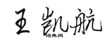 骆恒光王凯航行书个性签名怎么写