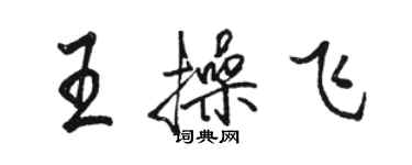 骆恒光王操飞行书个性签名怎么写