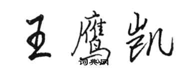 骆恒光王鹰凯行书个性签名怎么写