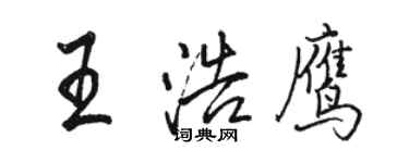 骆恒光王浩鹰行书个性签名怎么写