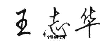 骆恒光王志华行书个性签名怎么写
