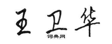 骆恒光王卫华行书个性签名怎么写