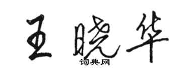 骆恒光王晓华行书个性签名怎么写