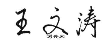 骆恒光王文涛行书个性签名怎么写