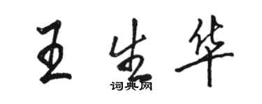 骆恒光王生华行书个性签名怎么写