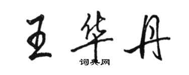 骆恒光王华丹行书个性签名怎么写