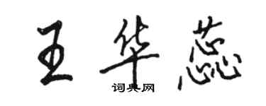 骆恒光王华蕊行书个性签名怎么写