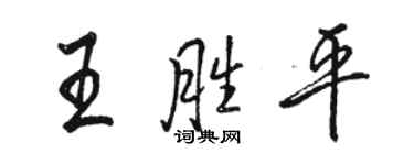 骆恒光王胜平行书个性签名怎么写