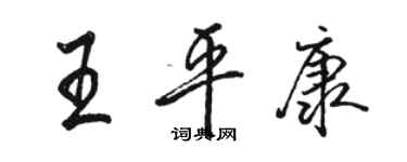 骆恒光王平康行书个性签名怎么写