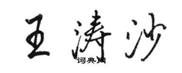 骆恒光王涛沙行书个性签名怎么写