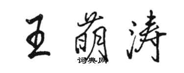 骆恒光王萌涛行书个性签名怎么写