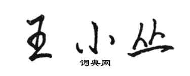骆恒光王小丛行书个性签名怎么写