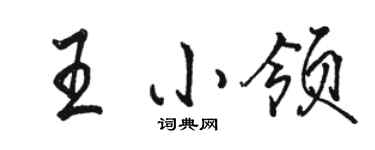 骆恒光王小领行书个性签名怎么写