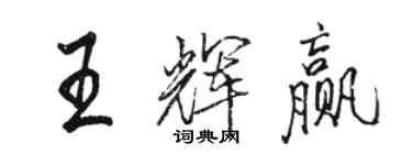 骆恒光王辉赢行书个性签名怎么写