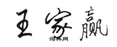 骆恒光王家赢行书个性签名怎么写