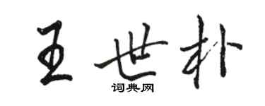 骆恒光王世朴行书个性签名怎么写