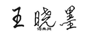 骆恒光王晓墨行书个性签名怎么写