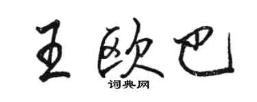 骆恒光王欧巴行书个性签名怎么写