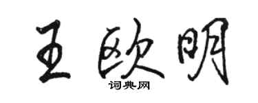 骆恒光王欧明行书个性签名怎么写