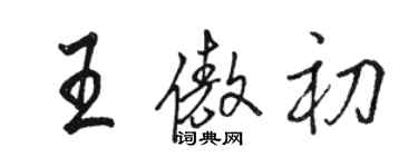 骆恒光王傲初行书个性签名怎么写