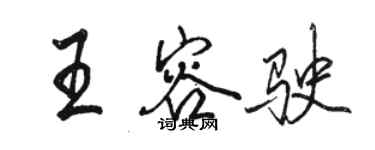 骆恒光王容驶行书个性签名怎么写