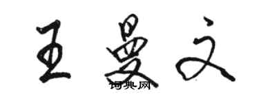 骆恒光王曼文行书个性签名怎么写
