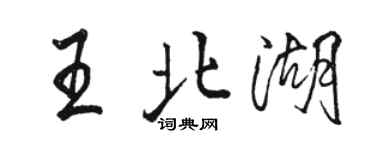 骆恒光王北湖行书个性签名怎么写