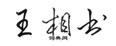 骆恒光王相书行书个性签名怎么写