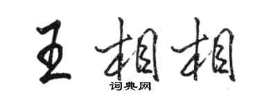 骆恒光王相相行书个性签名怎么写