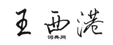 骆恒光王西港行书个性签名怎么写