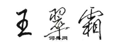 骆恒光王翠霜行书个性签名怎么写
