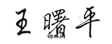 骆恒光王曙平行书个性签名怎么写