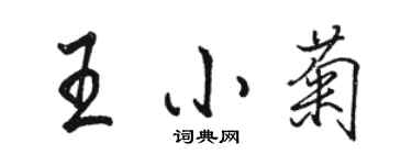 骆恒光王小菊行书个性签名怎么写