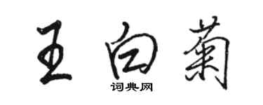 骆恒光王白菊行书个性签名怎么写