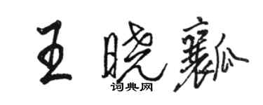 骆恒光王晓瓤行书个性签名怎么写