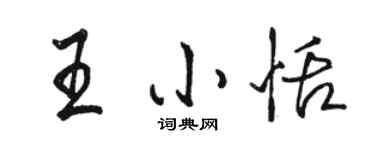 骆恒光王小恬行书个性签名怎么写