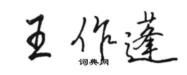 骆恒光王作蓬行书个性签名怎么写